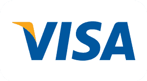 Visa Pay Logo